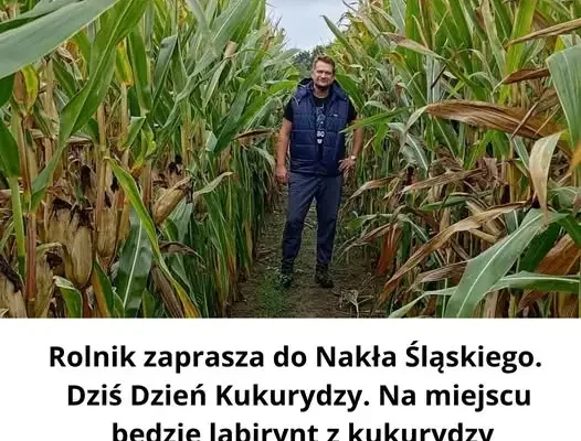 Dzień Kukurydzy w Nakle Śląskim – atrakcje dla całej rodziny