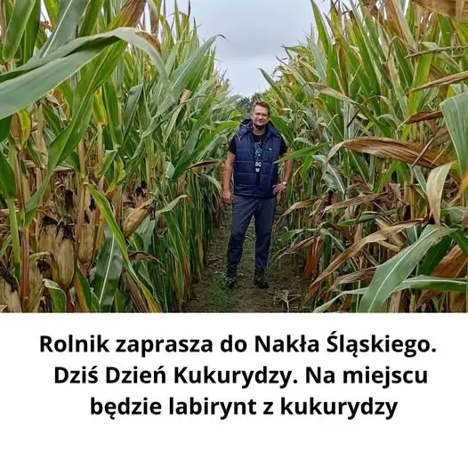 Dzień Kukurydzy w Nakle Śląskim – atrakcje dla całej rodziny