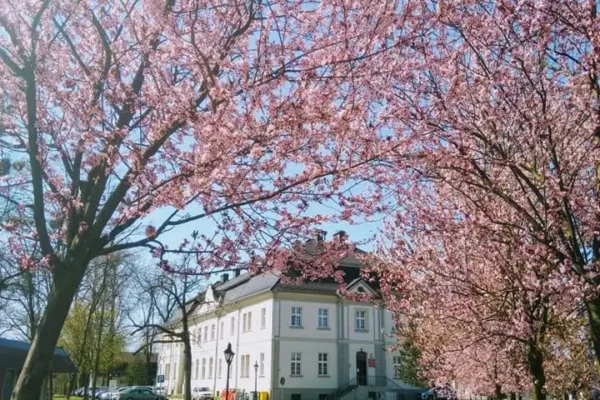 Gmina Tworóg dementuje: Ośrodek Brzeźnica nie jest na sprzedaż