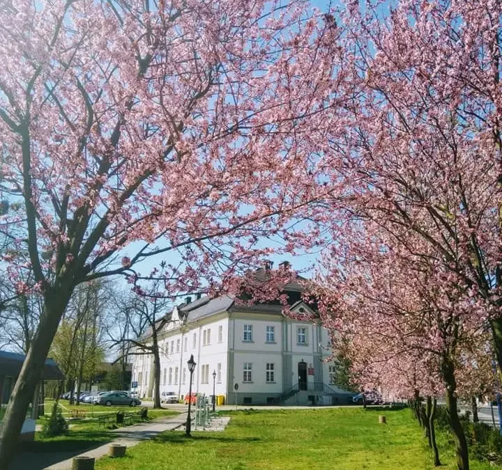 Gmina Tworóg dementuje: Ośrodek Brzeźnica nie jest na sprzedaż