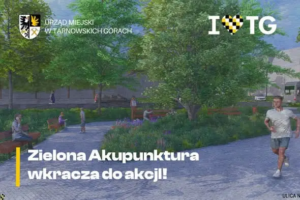 Tarnowskie Góry zdobyły 133 tys. zł na „Miejską Zieloną Akupunkturę”