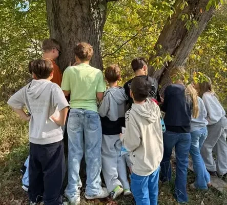 Dzień Drzewa w szkole – konkurs fotograficzny i zajęcia terenowe