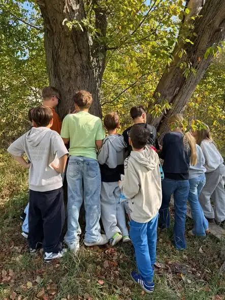 Dzień Drzewa w szkole – konkurs fotograficzny i zajęcia terenowe